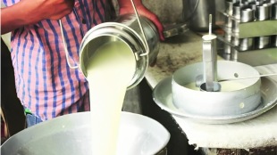 objection farmers association cow milk prices fall price fixation nashik