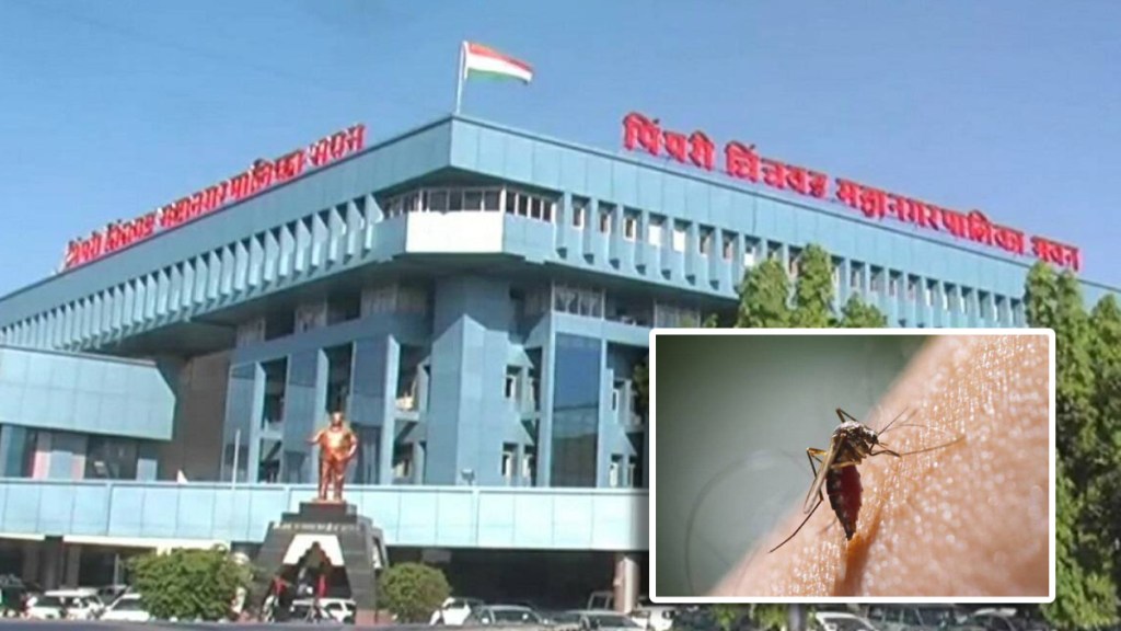 mosquito larvae mosquito larvae