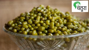 Mung bean