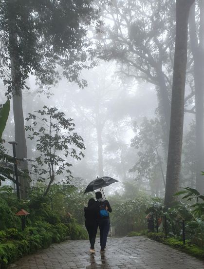 rain ( Freepik)