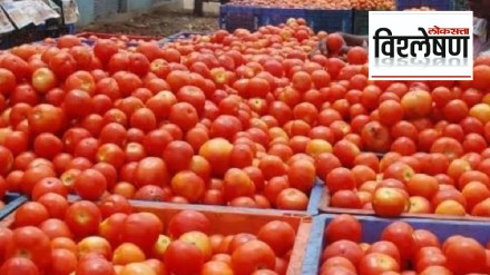 excessive price hike of tomatoes excessive price hike of tomatoes