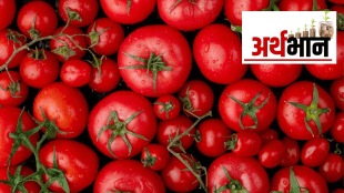 NAFED NCCF tomato central government