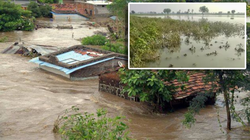 vidarbha rain farmers loss