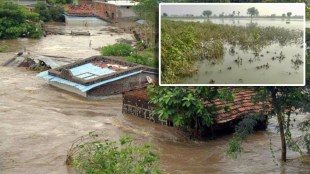 vidarbha rain farmers loss