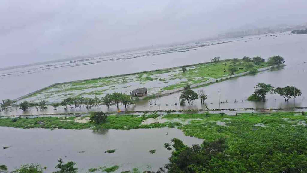 imd issue red alert on 22nd July in vasai virar along with palghar district imd issue red alert on 22nd July in vasai virar along with palghar district