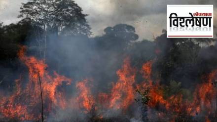 wildfire