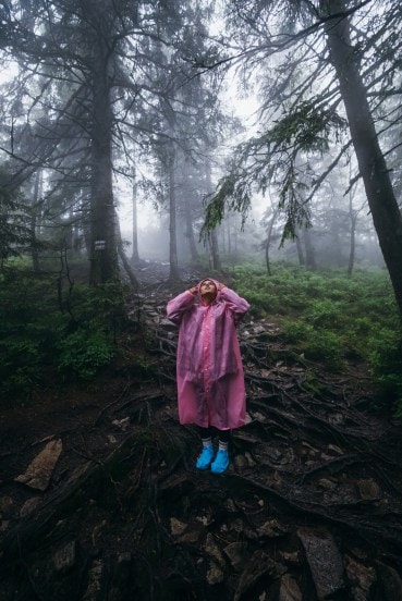 rain ( Freepik)