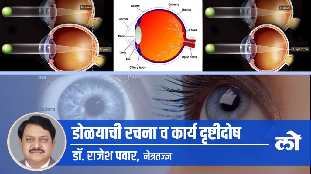 eye function, eye specialist, retina eye function, eye specialist, retina