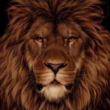 सिंह फोटो- facebook/gaturronik