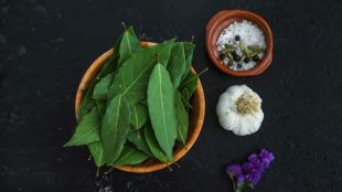 how to store kadi patta or Curry Leaves for 5-6 months