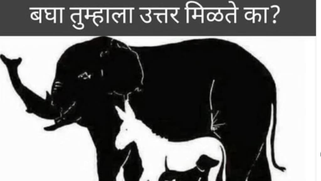 Optical Illusion 99 Percent People Fail To find 10 Hidden Animals Inside Huge Elephant In The Test Only Genius Can Spot Turtle