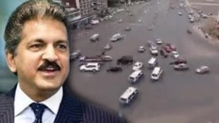 Anand Mahindra Viral Ethiopia Traffic Tweet