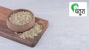 Cumin, spice, flavor meals, healthy, food, pregnant woman