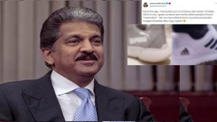 Anand Mahindra