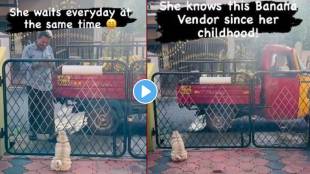 Video Of Pug Dog Waiting For Banana Seller Goes Viral People Say We Humans Fight Without Reason Learning From Animals