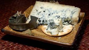 World's Most Expensive Cheese Block Sold For More Than ₹ 27 Lakhs