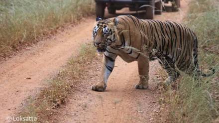 Hunters Chandrapur district Hunters Chandrapur district