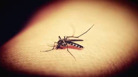 disease in Navi Mumbai