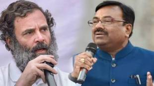 Sudhir Mungantiwar on rahul gandhi