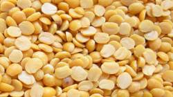 अकोला : तुरीची विक्रमी दराकडे वाटचाल; ११,५०० चा टप्पा ओलांडला, कारण काय वाचा…