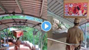 Strange stunt of the hawker, you will be amazed by watching the video