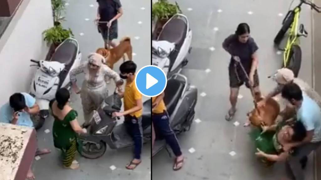 Two Neighbour’s fight over parking Two Neighbour’s fight over parking