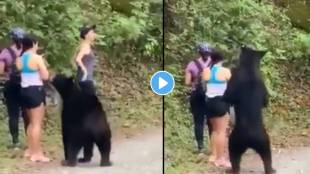In Viral Scary Video; Big Bear stands behind one Women, Touches And Pull Her.