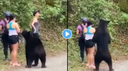 In Viral Scary Video; Big Bear stands behind one Women, Touches And Pull Her.