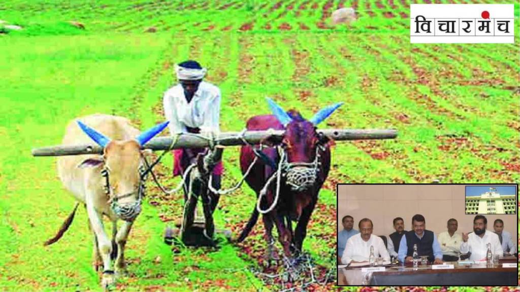 farmers farmers
