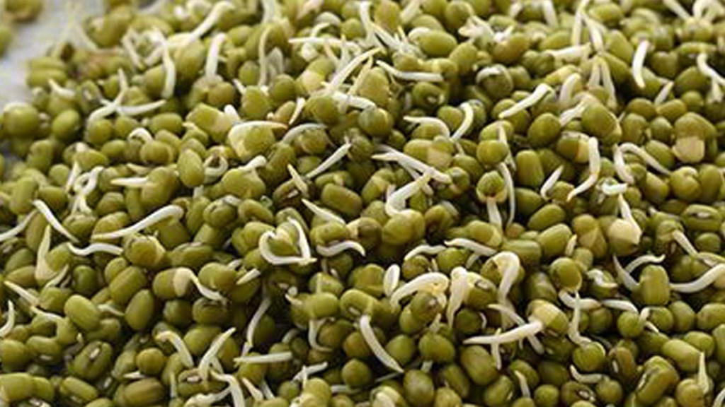 Moong Benefits Moong Benefits