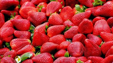 How To Improve Heart And Brain Health How To Improve Heart And Brain Health