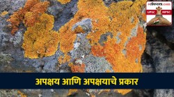 UPSC-MPSC : भूगोल : खडकाचे अपक्षय होणे म्हणजे काय? अपक्षयाचे प्रकार कोणते?