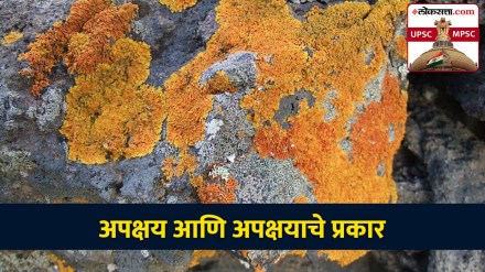 weathering in marathi, types of weathering