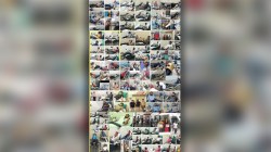 वर्धा : ५०० रक्तदात्यांची पेढी देत आहे अनेकांना जीवनदान