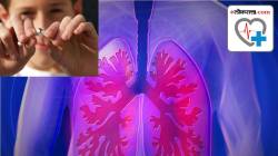World Lung Cancer Day 2023: फुफ्फुसे निरोगी कशी ठेवाल ? फुफ्फुसे स्वच्छ ठेवणे शक्य आहे ?