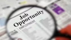 जिल्हा परिषद भरती : १४ लाख उमेदवारांचे अर्ज, १४५ कोटींचा महसूल जमा