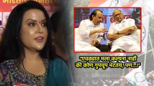amruta fadnavis sharad pawar ajit pawar (1)