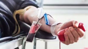 blood bank