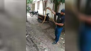 Seeing the 8 feet long snake, the police got scared, left the control room and ran away