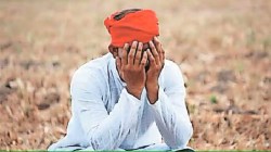 यवतमाळ : आठ महिन्यांत १६० शेतकरी आत्महत्या; कृषिमंत्री आज जिल्ह्यात, लक्ष देणार का?