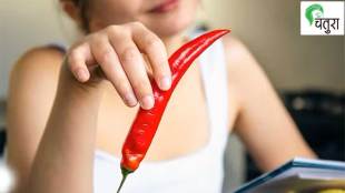 review of capsicum annuum benefits of capsicum annuum information about capsicum annuum