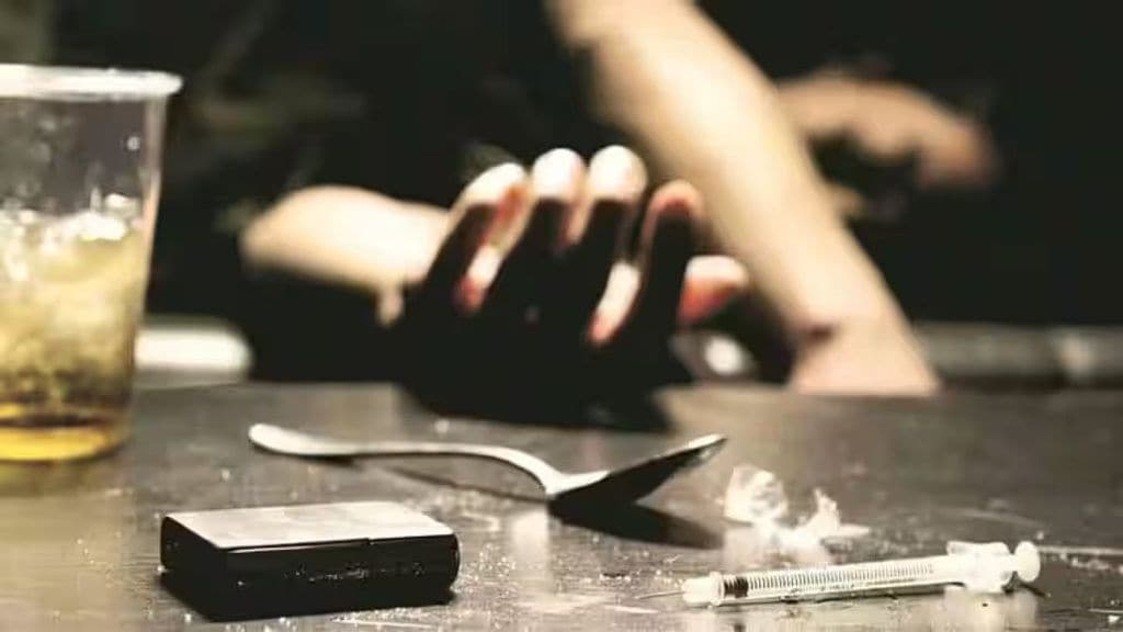 drugs ganja top rank city drugs ganja top rank city