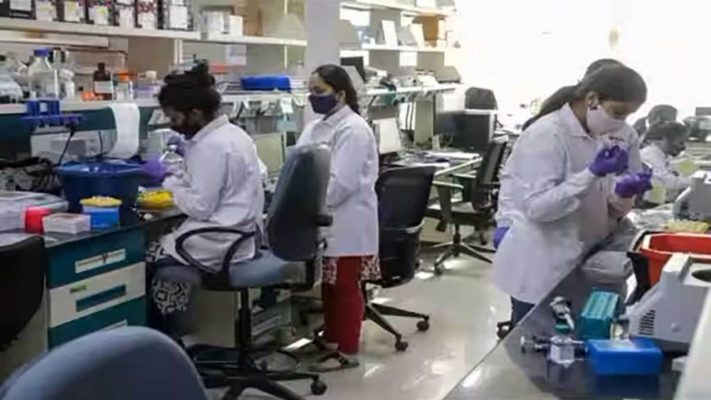 top national science prize on hold for two year