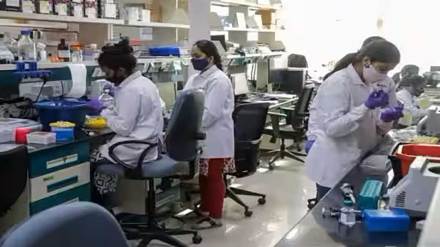 top national science prize on hold for two year