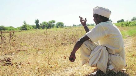 farmer
