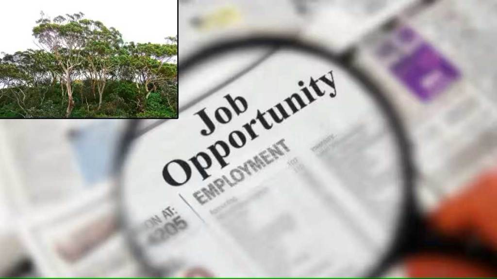 first phase of forest guard recruitment started first phase of forest guard recruitment started