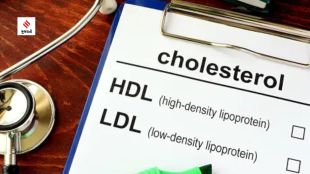 cholesterol unsplash)