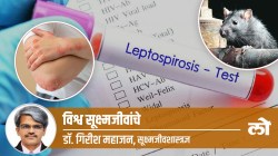 Health Special: लेप्टोस्पायरॉसिस कसा होतो, कसा टाळावा?