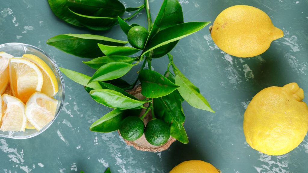lemon leaves health benefits