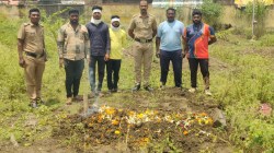 यवतमाळ : “मरणाने केली सुटका, जगण्याने…”, गँगरीन झालेल्या निराधार वृद्धेची कहाणी